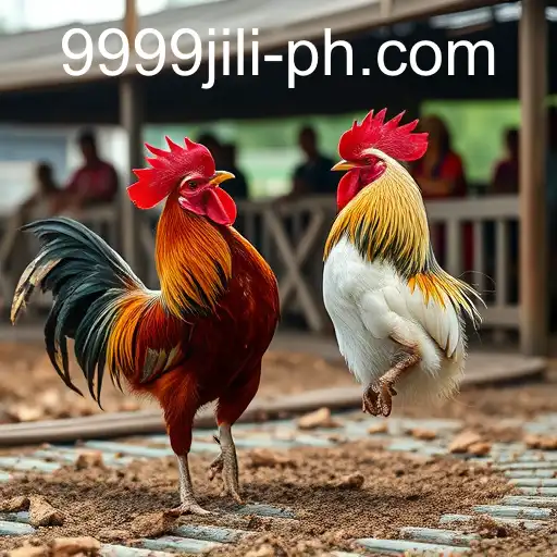 Exploring the World of Online Sabong and the Rise of 9999 Jili